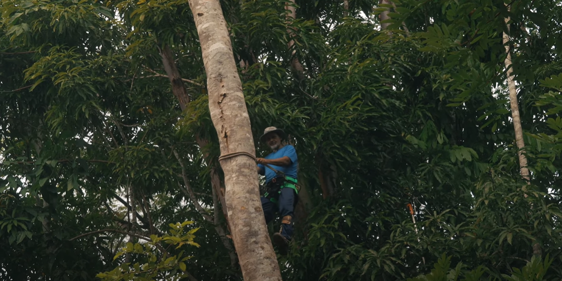 Um observador e protetor da natureza